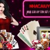 đá gà casino thiên đường trò chơi game đổi thưởng